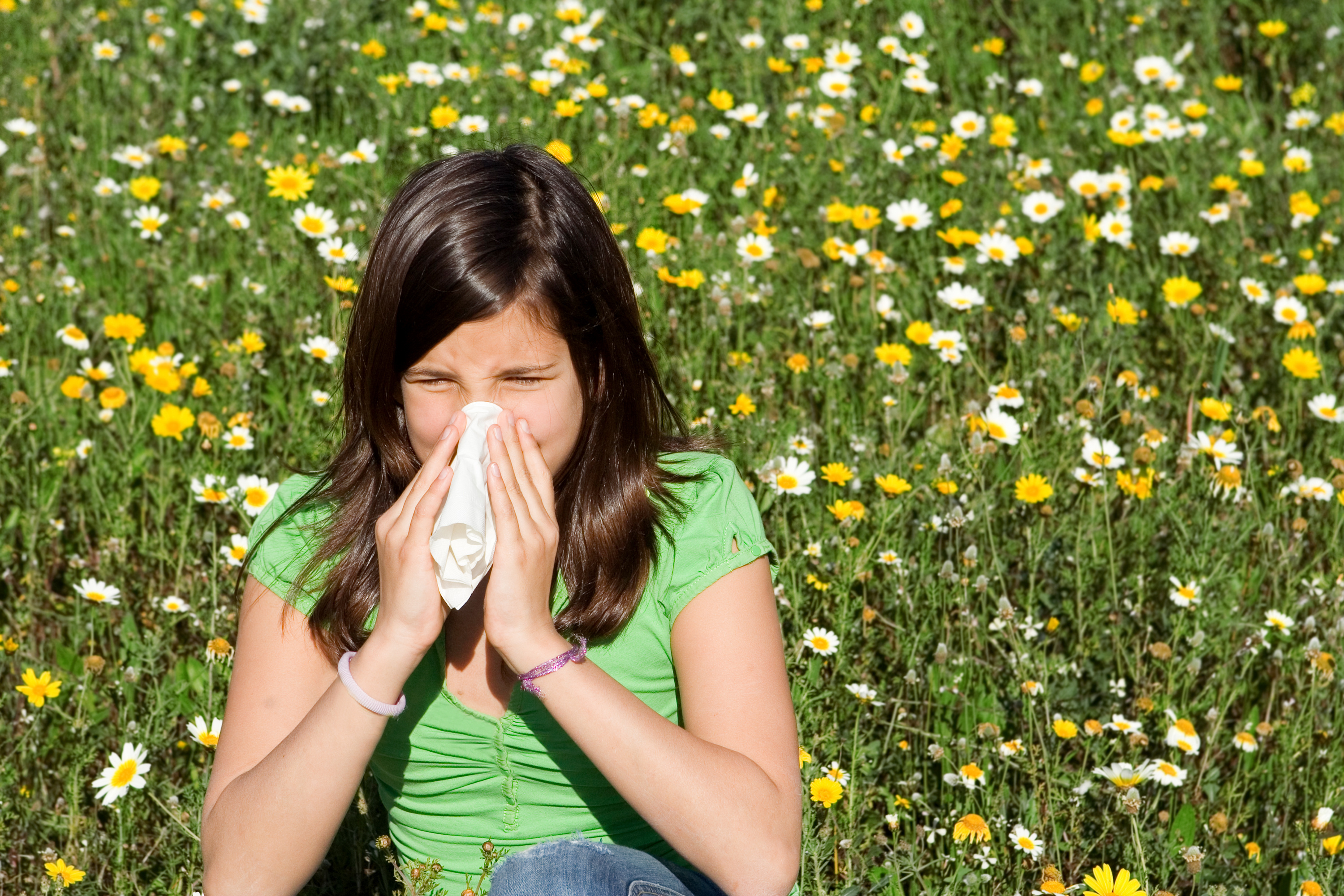 Air Con: Air Con Allergies